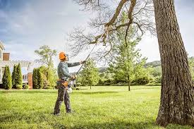 Best Commercial Tree Services  in Gregory, TX